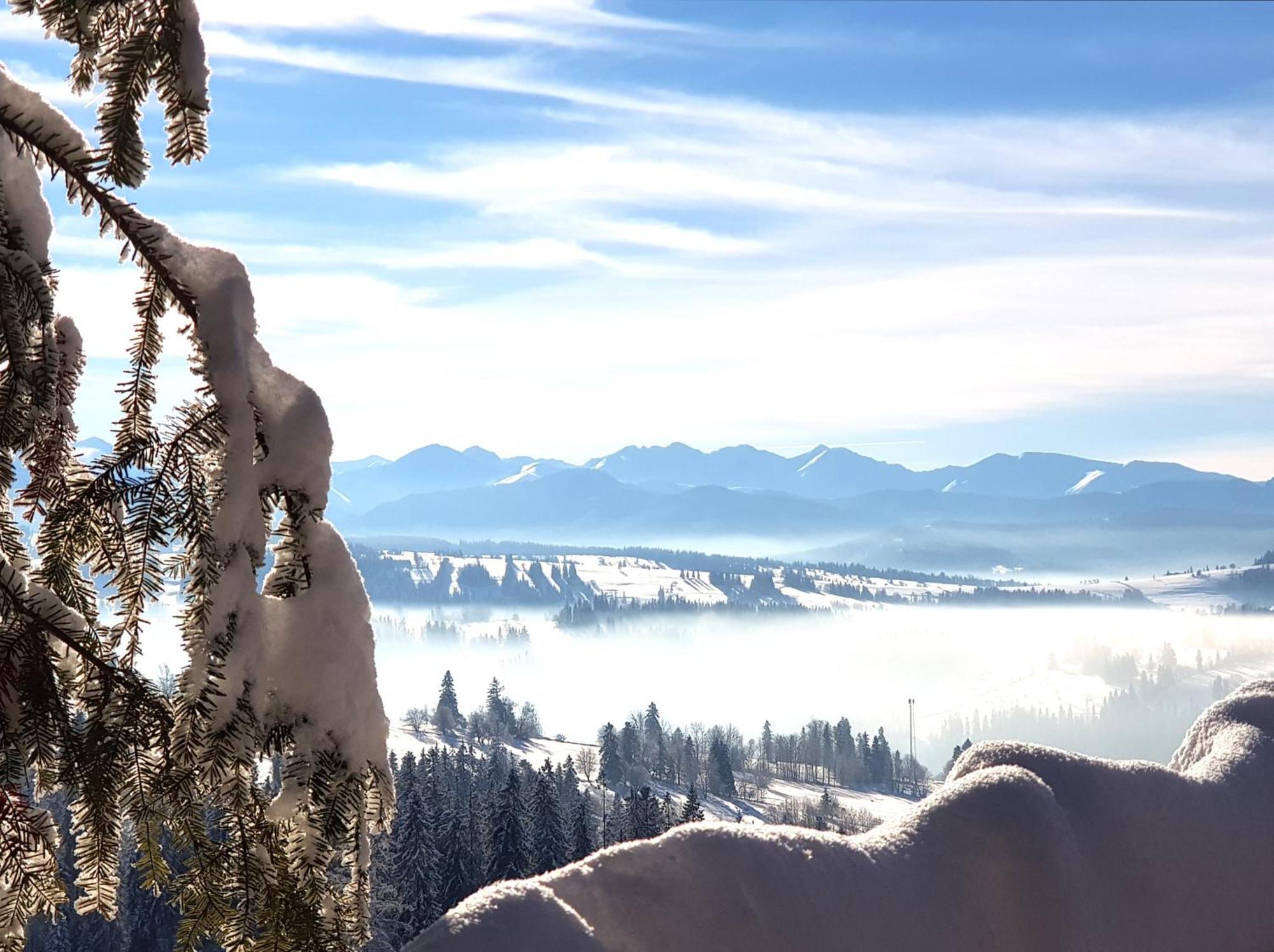 Dom Gorski Klimat-Willa 160 M2 Z Wewnetrzna Sauna Finska, Znizki Do Term Goracy Potok Zakopane Eksteriør billede